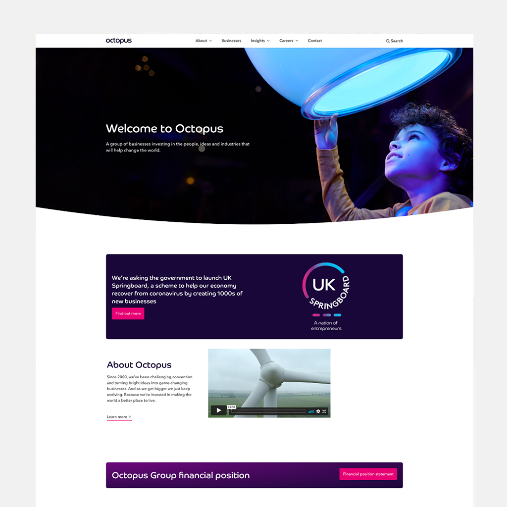 Octopus Group web screenshot 1