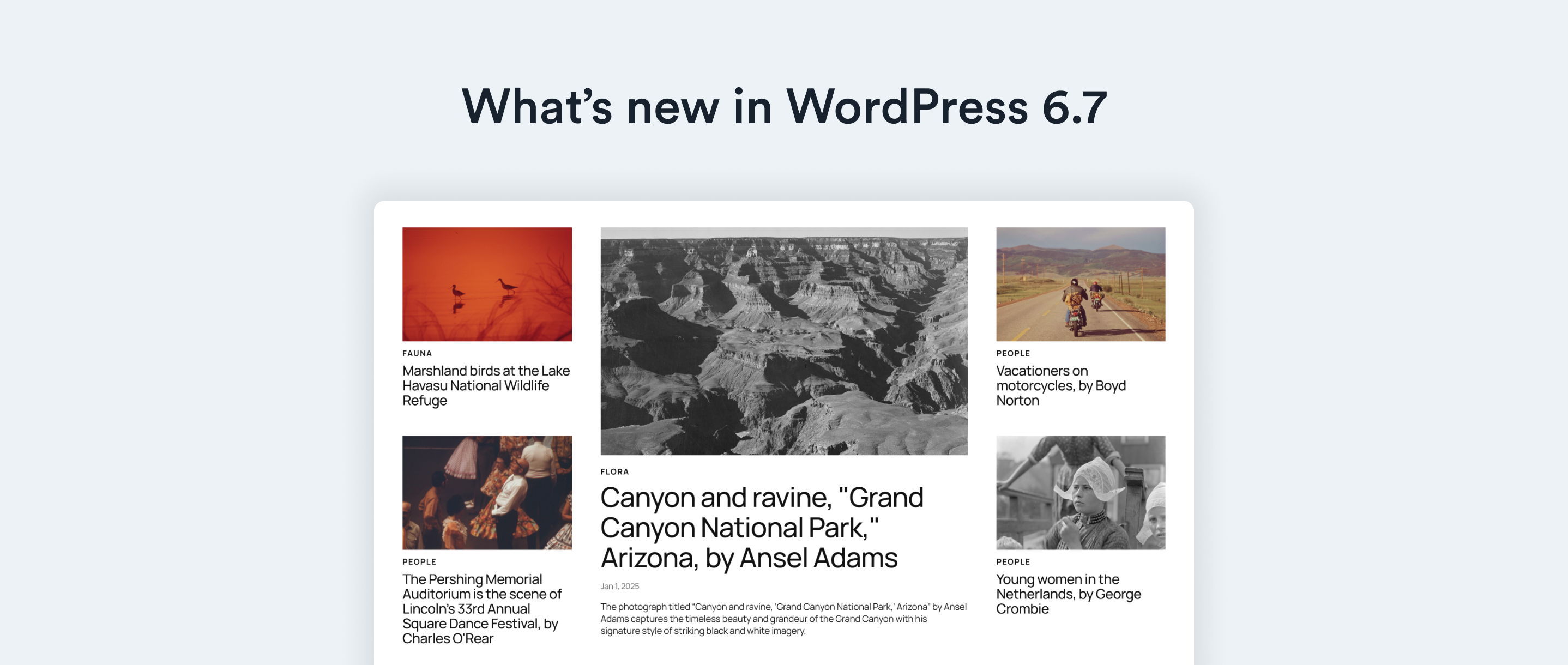 What’s new in WordPress 6.7